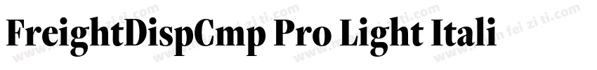 FreightDispCmp Pro Light Italic字体转换